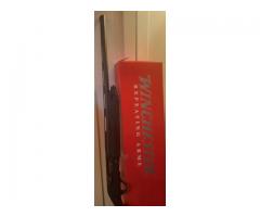 Winchester SX4 12 ga