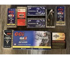 CCI 22 WMR