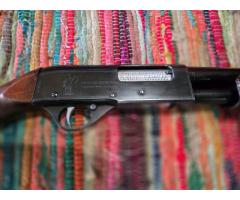 Beretta Silver Pigeon