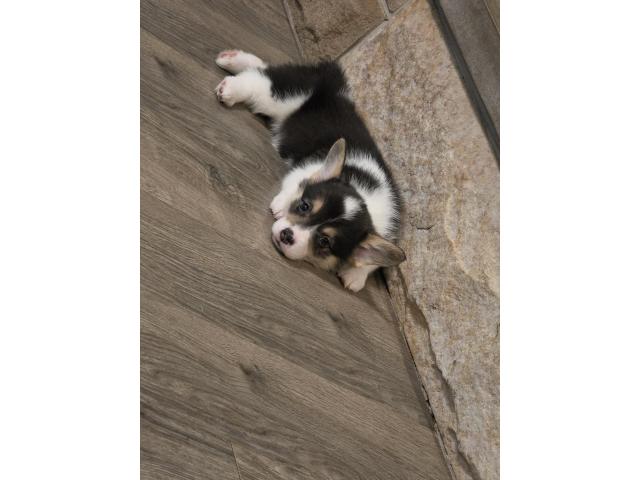 Image 1 / 4
