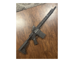 Ruger SFAR-10 w/ holosun
